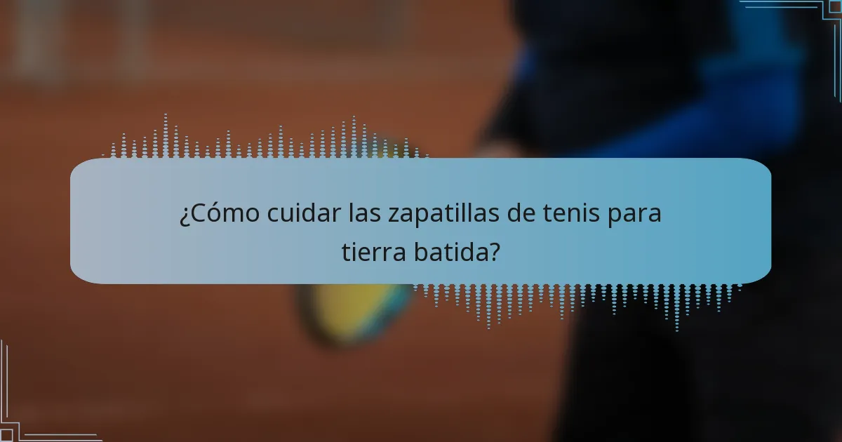 ¿Cómo cuidar las zapatillas de tenis para tierra batida?