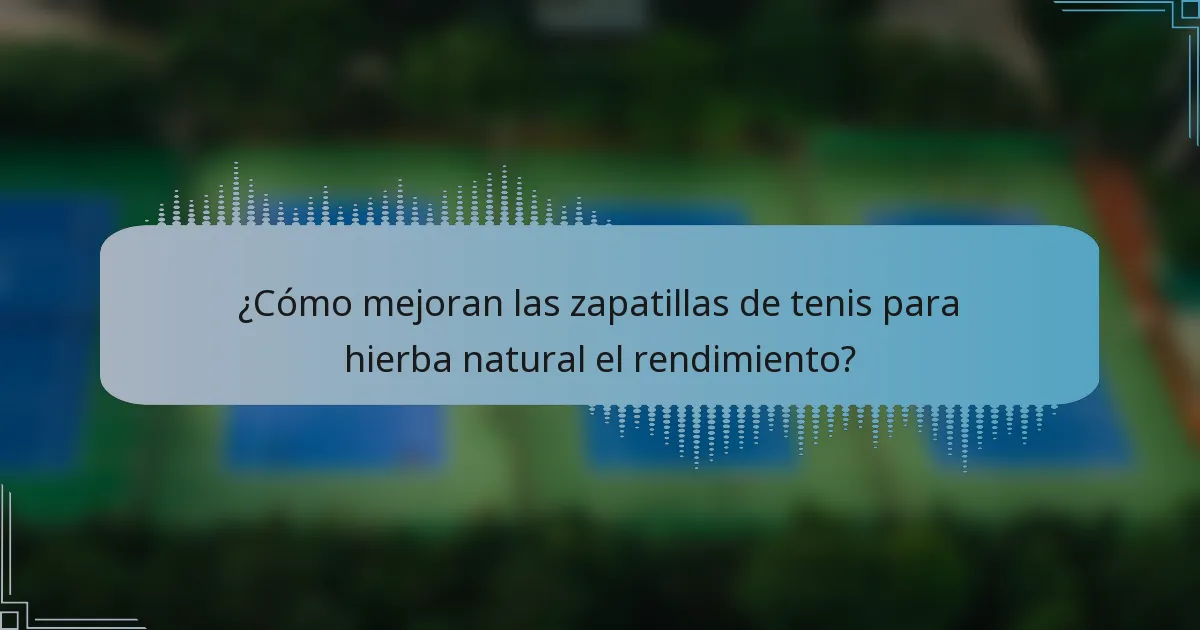 ¿Cómo mejoran las zapatillas de tenis para hierba natural el rendimiento?
