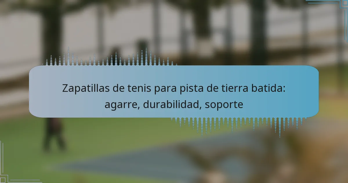 Zapatillas de tenis para pista de tierra batida: agarre, durabilidad, soporte
