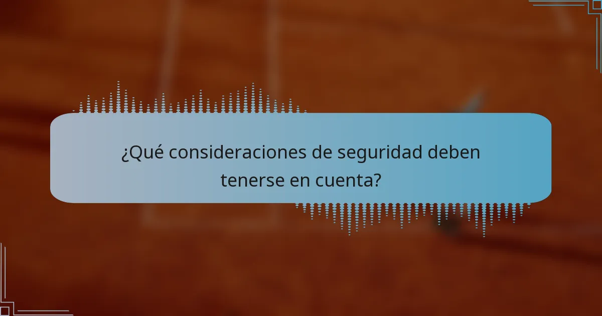 ¿Qué consideraciones de seguridad deben tenerse en cuenta?