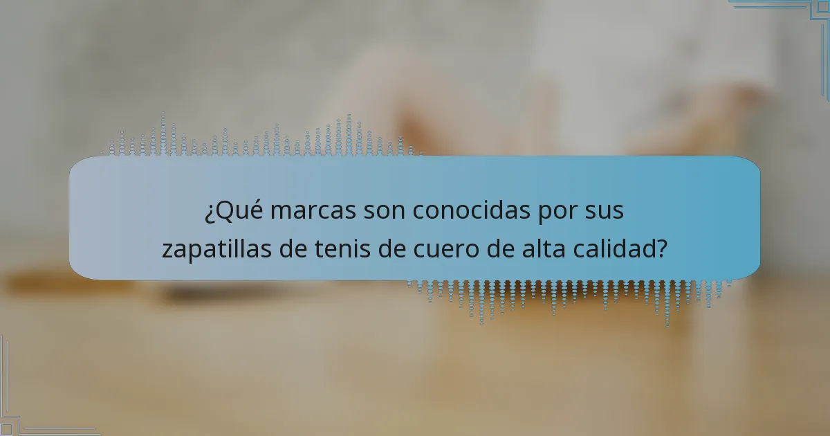¿Qué marcas son conocidas por sus zapatillas de tenis de cuero de alta calidad?
